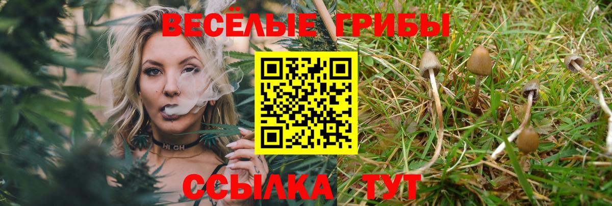 Псилоцибиновые грибы мухоморы Владимир